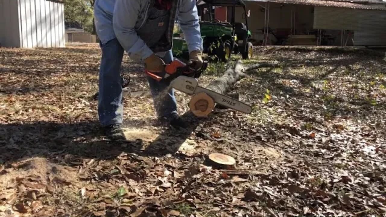 Chainsaw race , Stihl 021 vs 211C