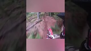 Terrifying Things Found In The Woods 😱 #shorts #scary