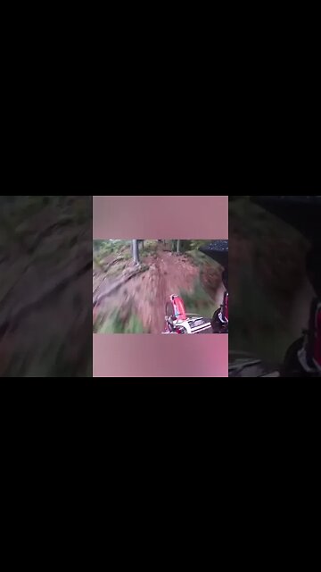 Terrifying Things Found In The Woods 😱 #shorts #scary