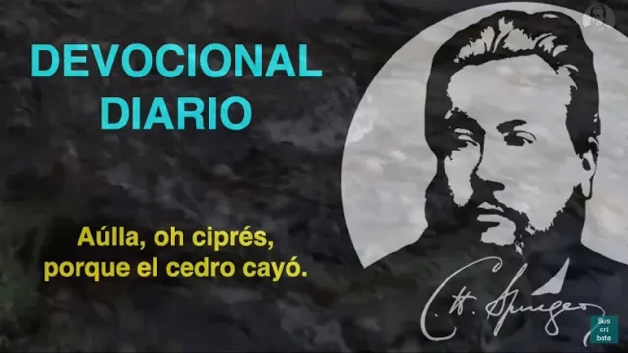 Aúlla, oh ciprés, porque el cedro cayó. (Zacarías 11:2) Devocional de hoy Charles Spurgeon