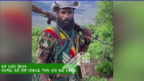 የአማራ ፋኖ ሸዋ ጠቅላይ ግዛት ዕዝ ቃል አቀባይ ፋኖ አበበ ሙላት ከሰሞኑ የነበረውን አውደ ውጊያ አስመልክቶ የሰጠው ማብራሪያ