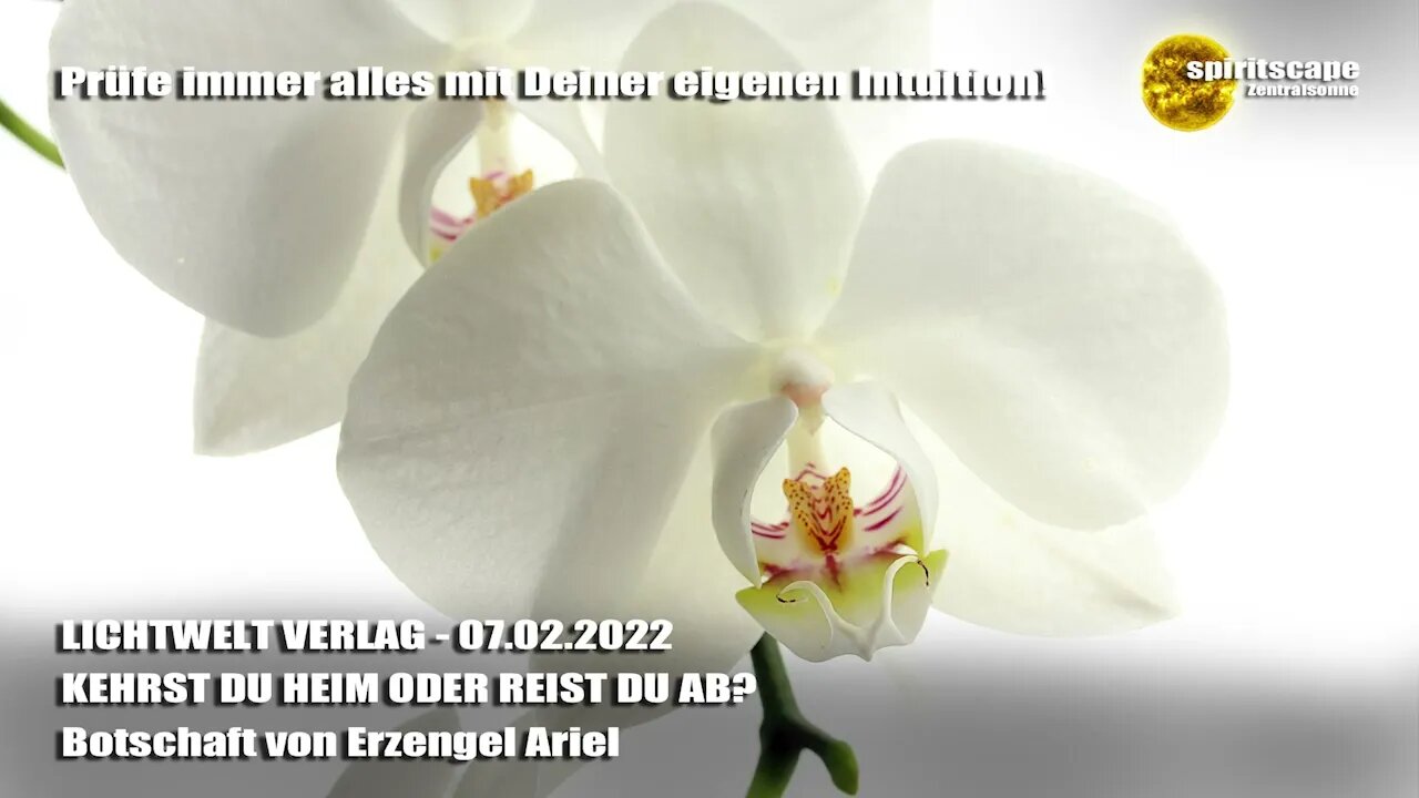 KEHRST DU HEIM ODER REIST DU AB? - Botschaft von Erzengel Ariel - LWV