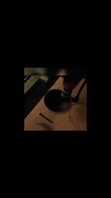 Engraved Pet Ornament