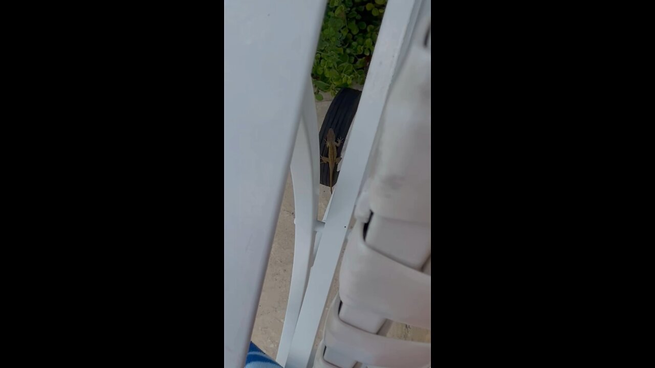 My Buddy came back to visit