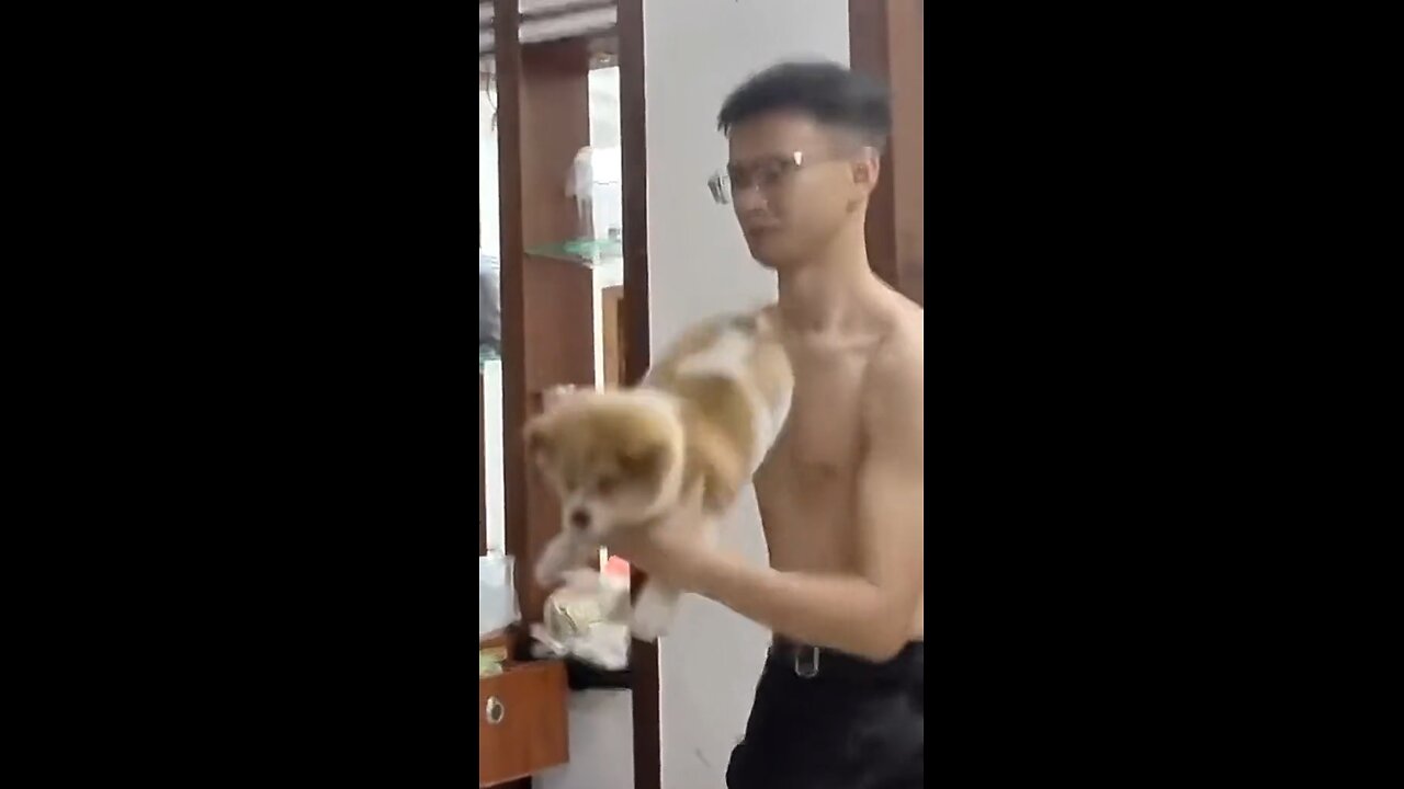 comedy video😂