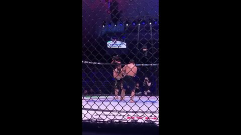 mma fights