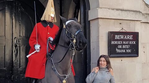 Let go of the Reins when the kings guard tells you to. guard shouts #horseguardsparade