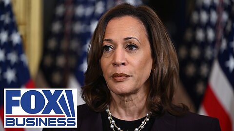 'CRUCIAL MOMENT': Democrat warns Harris about 'strategic tariffs'| RN ✅