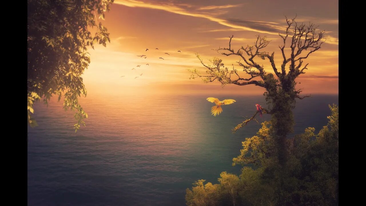 🔴Relaxing Music, Meditation Music, Sleeping Music, Yoga Music, Spa Music, Study Music,