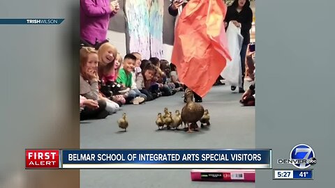 Belmar School of Integrated Arts helps duck family