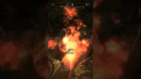 Friendly Fire in Skyrim #skyrim