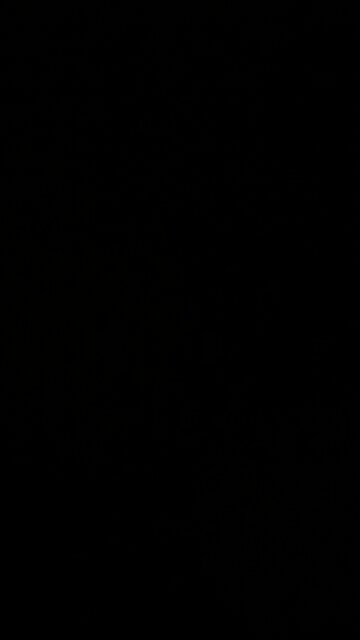 How to pronounce boxer