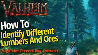 How To Get Core Wood, Fine Wood, Copper And Tin - Valheim