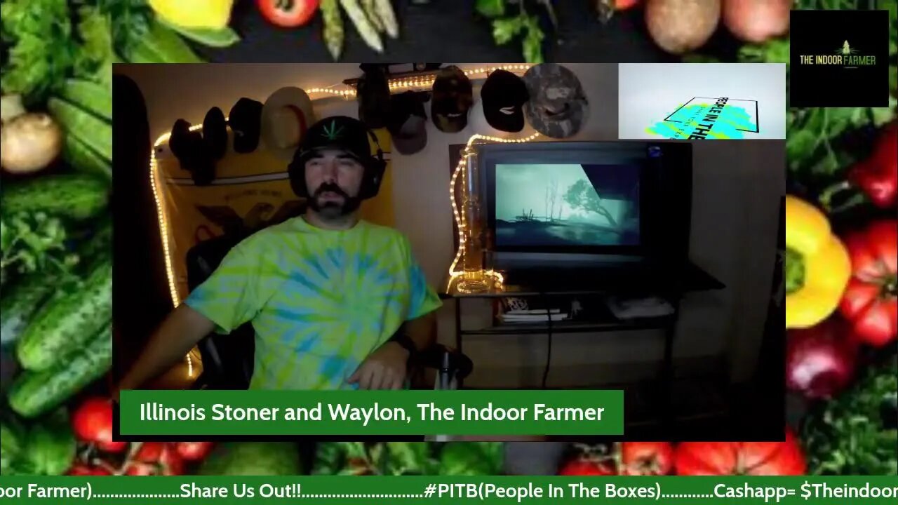 Tie Die Tuesday Vibes With Waylon, The Indoor Farmer