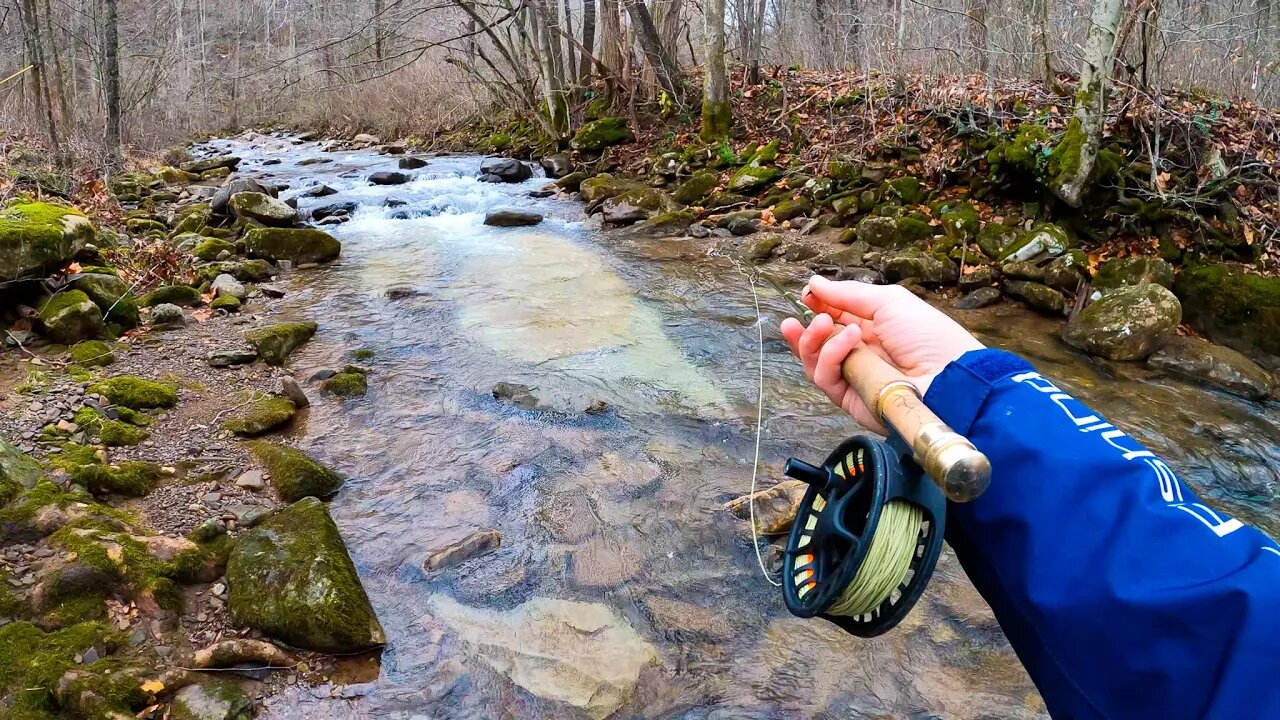 Fishing a Hidden Creek for Wild Trout! (3 Miles Deep)