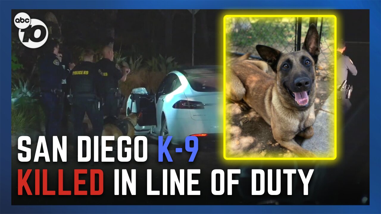 Man who shot K-9 to death killed by police during standoff at Mesa College