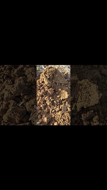 What Does a Buried Underground Confederate Bullet From The American CW LOOK Like After 150+ Years.