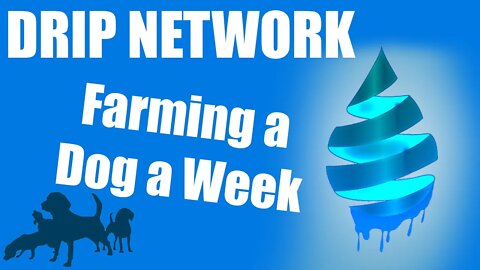 Drip Network - How Many DOGS & PIGS Will I Making A Month?