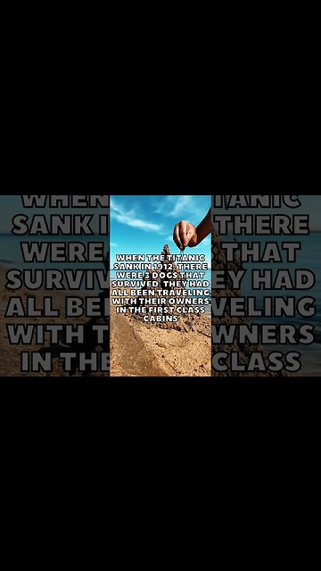 Incredible Random Facts That Will Expand Your Mind! [2023] #shorts #facts #viralshorts #fyp #life