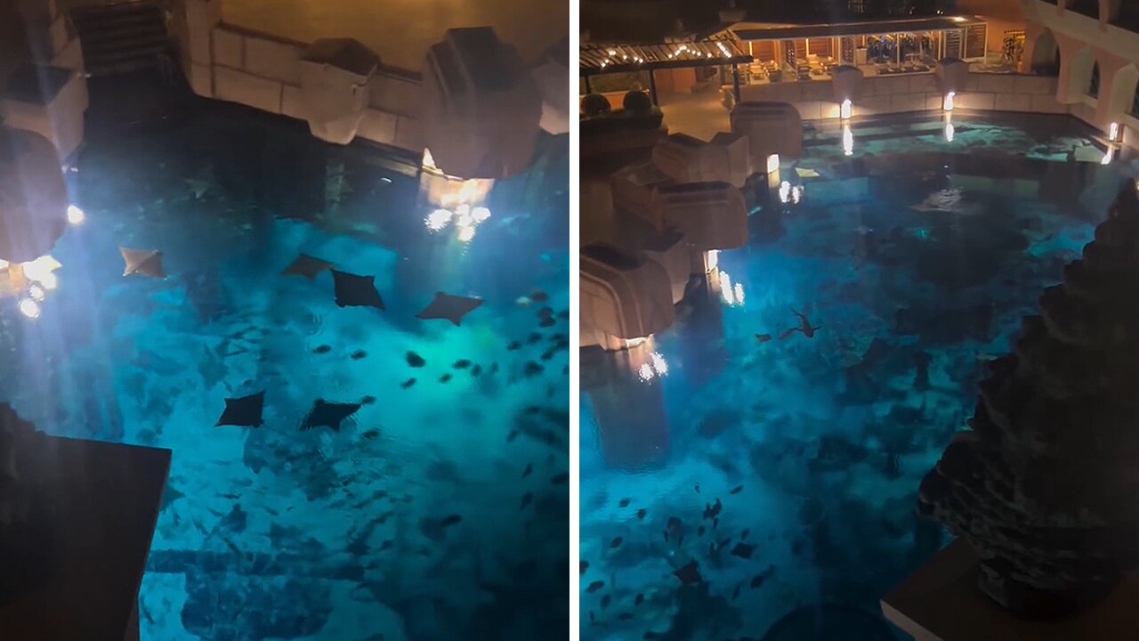 Hotel guest in Dubai is amazed by the large aquarium under his balcony