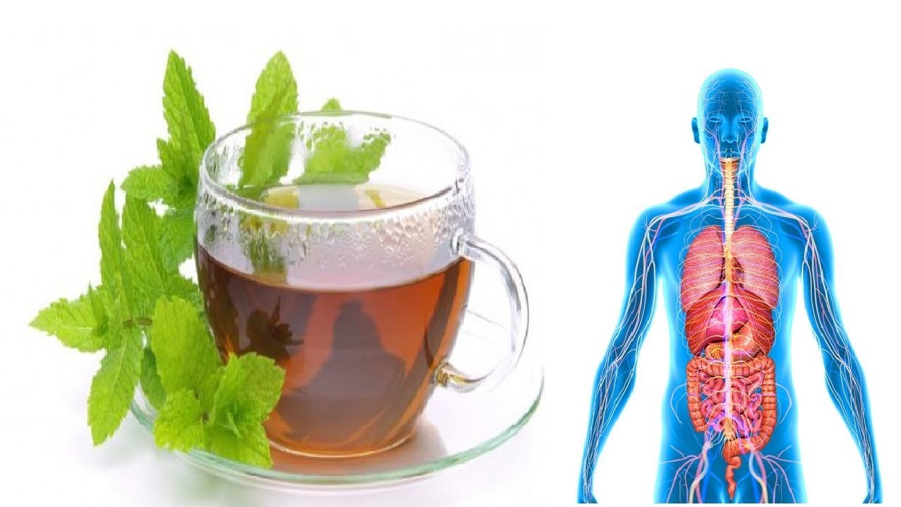 Drinking peppermint tea daily provides incredible health benefits