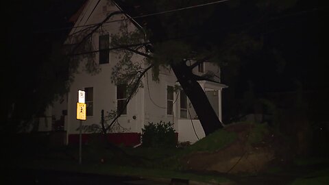 Tree house on house on S. Elmwood and Mill in Medina