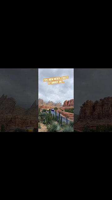 Radiator Springs Racers at Carsland #disneycaliforniaadventure #dca #carsland