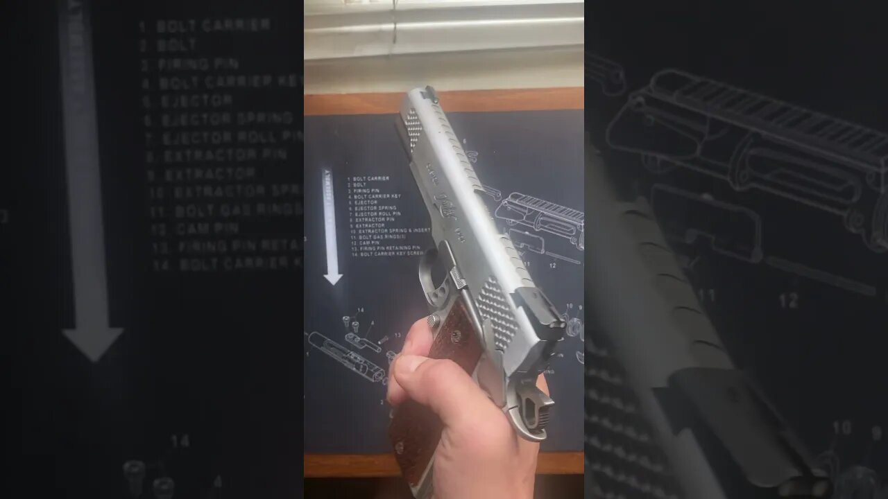 Why I love my Raptor 1911: Reason #1