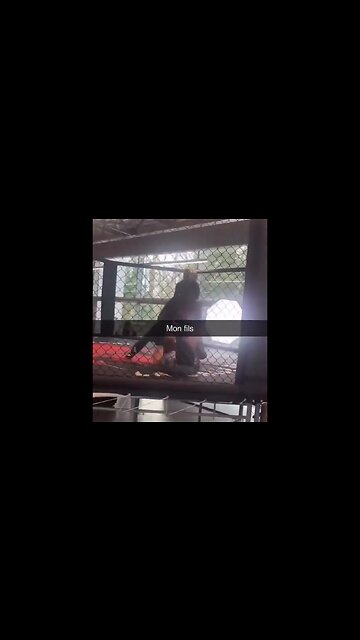 Knocked Out While Sparring