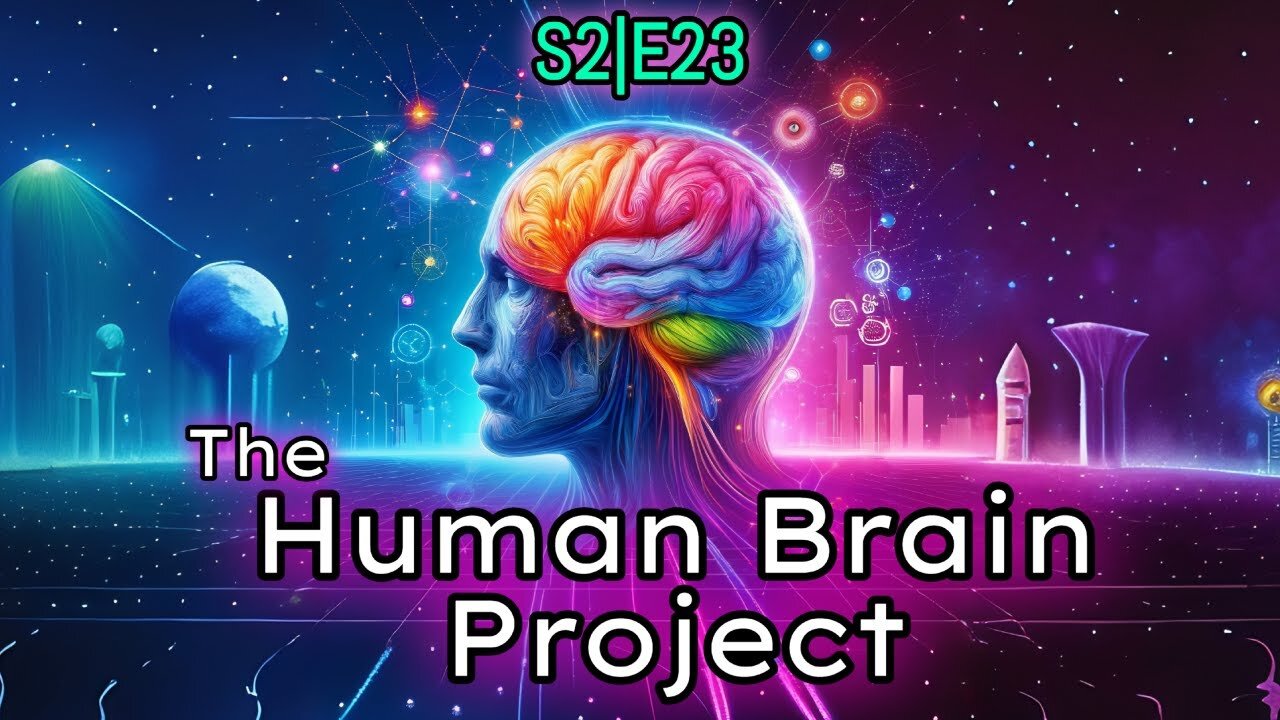 The Human Brain Project