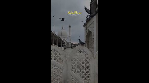 SURAH AL-MUJADILAH VERSE NO 14-18