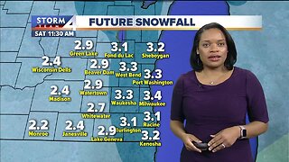 Elissia Wilson's 10pm Storm Team 4cast (1/22)