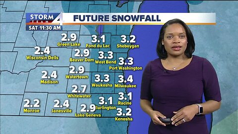 Elissia Wilson's 10pm Storm Team 4cast (1/22)