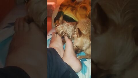 Double Foot Wash