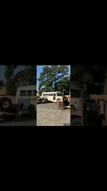 The calm before the storm… #robinsage #shorts