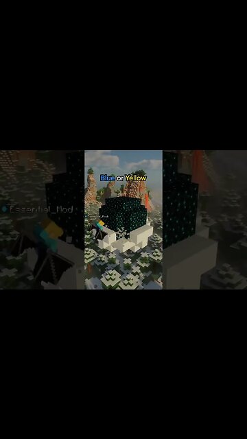 Pensi di essere un pro? #minecraft #minecraftmeme #minecraftmemes #minecraftita #minecraftvideo