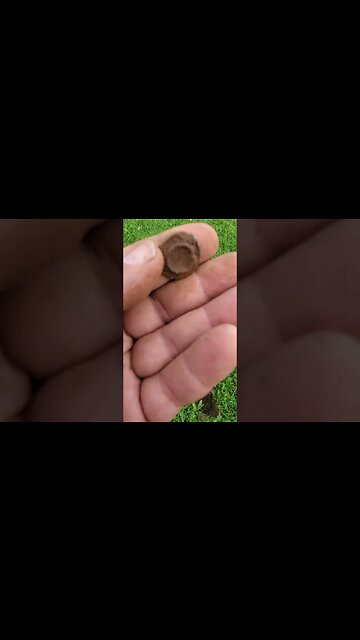 tiny manhole cover #relics #coins #buttons #metaldetecting #civilwar #silver #trending #battlefield