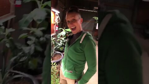 She’s in her PARADISE 🪴#shorts #trending #viral #tiktok #plantnursery #garden
