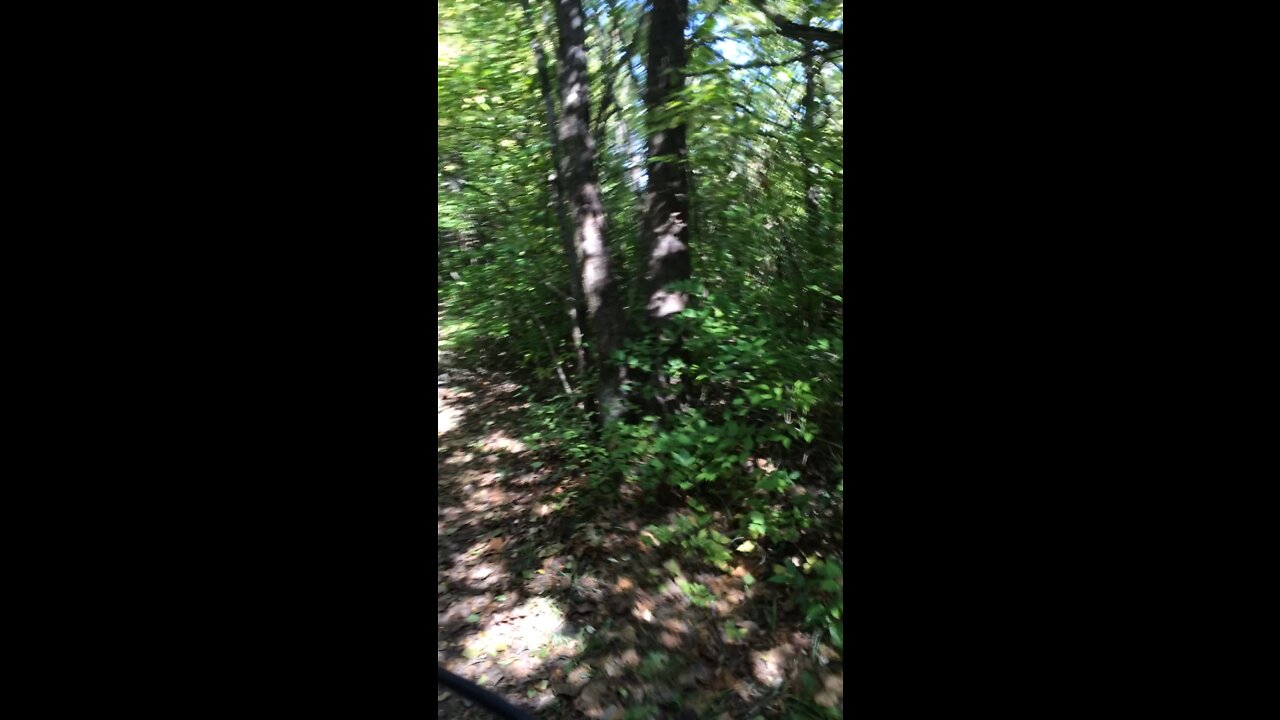 Rangeline nature preserve in Anderson Indiana