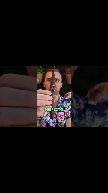 When a gimmick is GREAT #cigar #cigars #luxury #gimmick