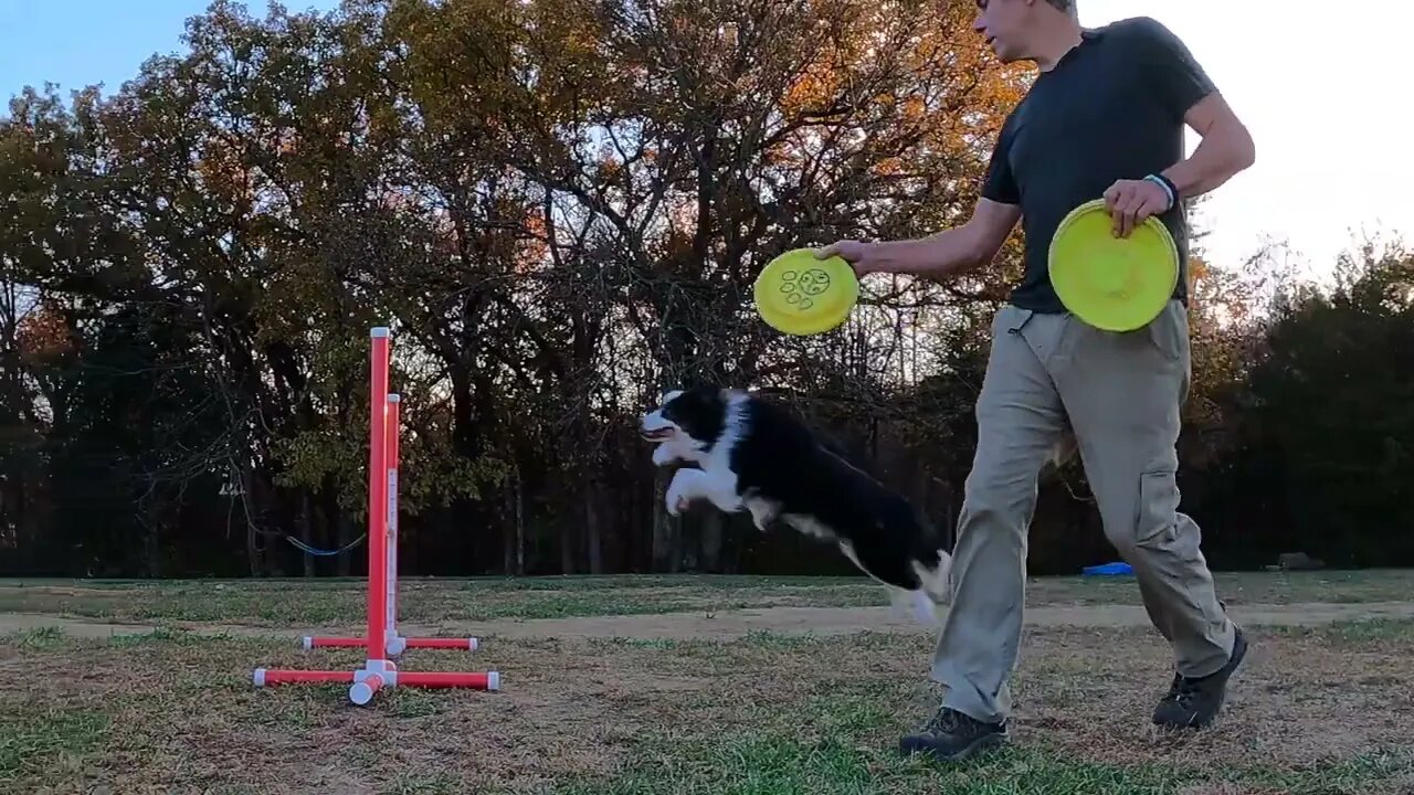 π₯πΆπ₯An Epic DiscDog Warmup | Squeaky 8 Form - Disc Quan Doπ₯ππ₯