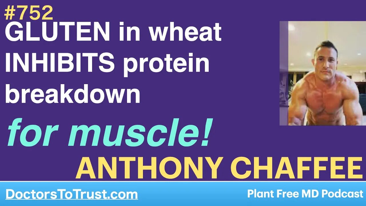 ANTHONY CHAFFEE 10 | GLUTEN in wheat INHIBITS protein breakdown for muscle!