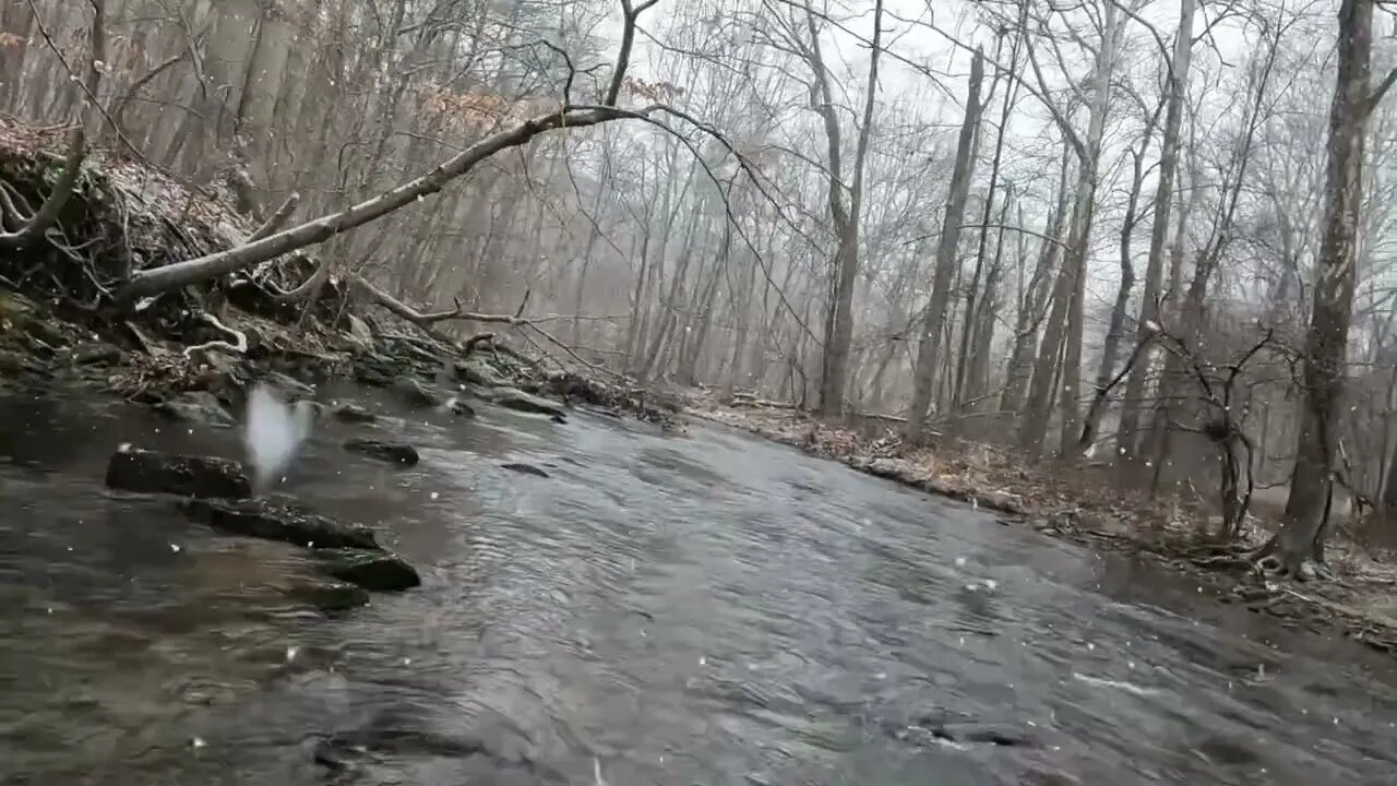 Walking through a creek with hip waders on while it’s snowing. Raw video.