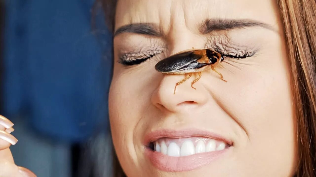 🐞🐜 Soft Whispering! Binaural! Cockroach — What Name Should We Give Her? ASMR Gina Carla