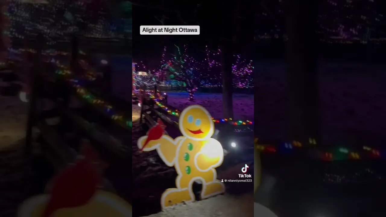 Ottawa Christmas decorations at alight at night in Uppercanada village #christmas2023 #fypシ #canada