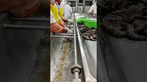 Shrimp Fish Head Cutting #shorts #tranding #shrimp #fish #cutting