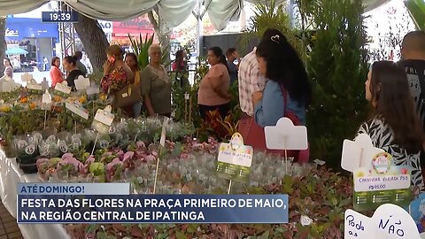 Até Domingo: Festa das Flores na Praça Primeiro de Maio, na Região Central de Ipatinga.