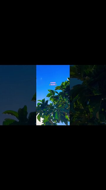 KAUA’I☀️SUNRISE🏄‍♀️ SHORTS