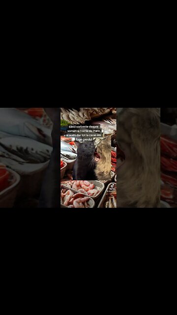 bun #somon #fructedemare si #sushi dar tot un #caras te face #happy #jmek #peste #traiestesanatos