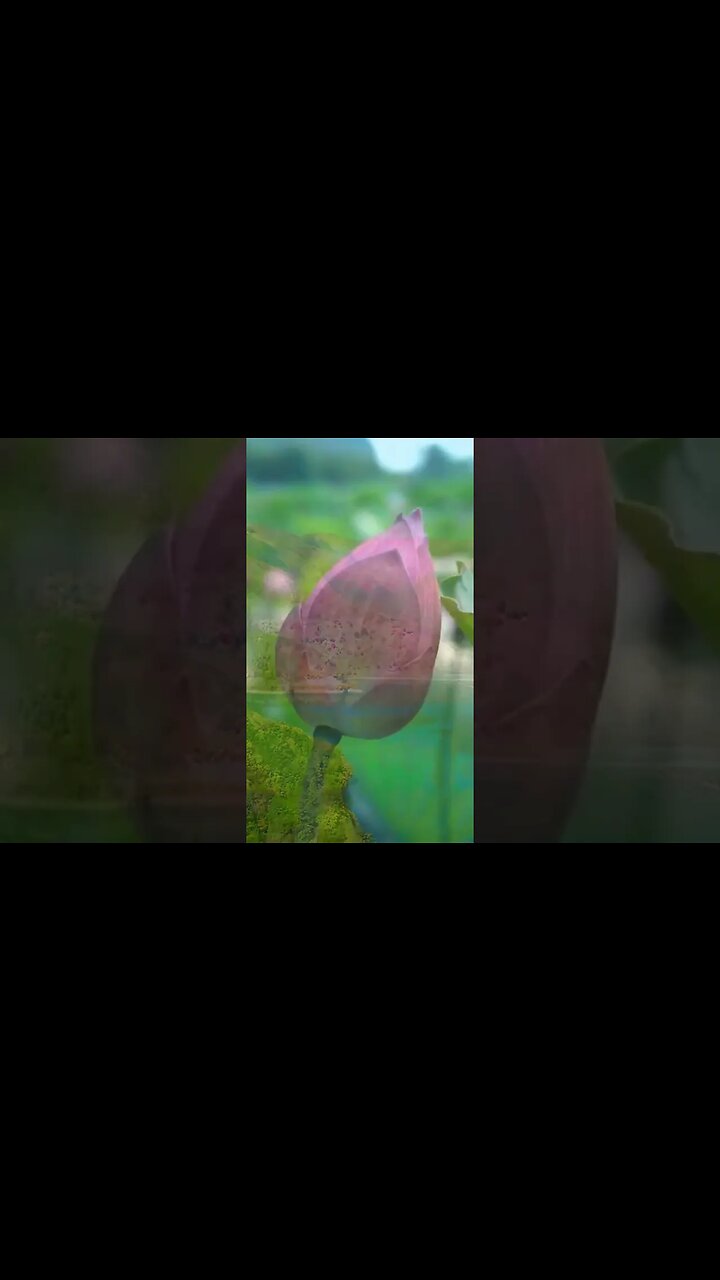 #relaxing #relaxingsounds #sleep